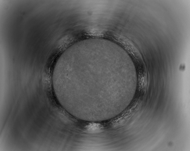 X0000103950609200810101440