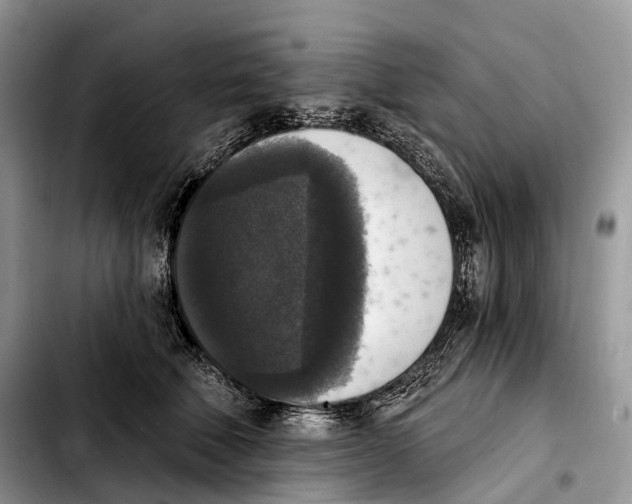 X0000103950610200810101440