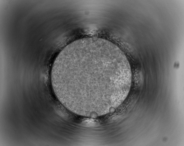 X0000103950611200810101440