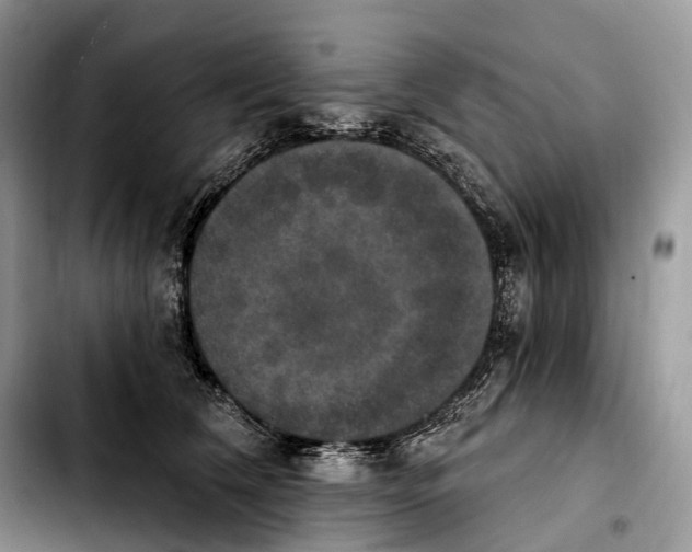 X0000103950612200810101440