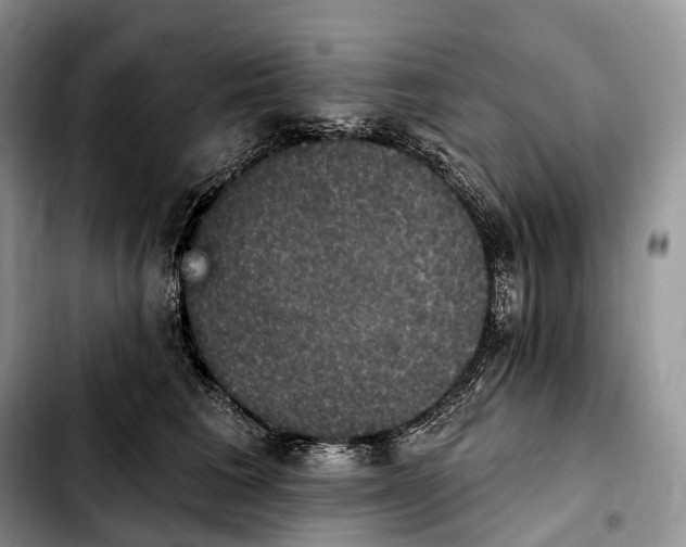 X0000103950613200810101440