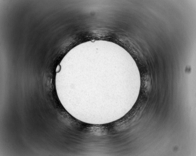 X0000103950615200810101440