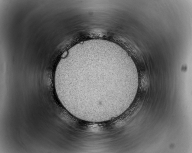 X0000103950616200810101440