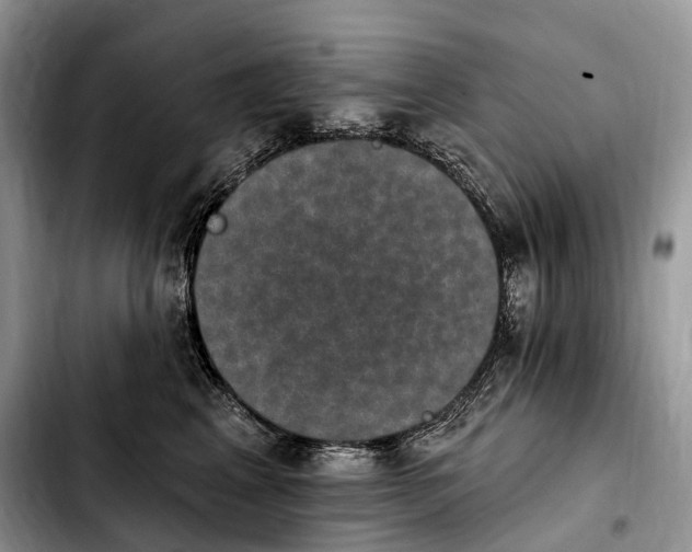 X0000103950617200810101440