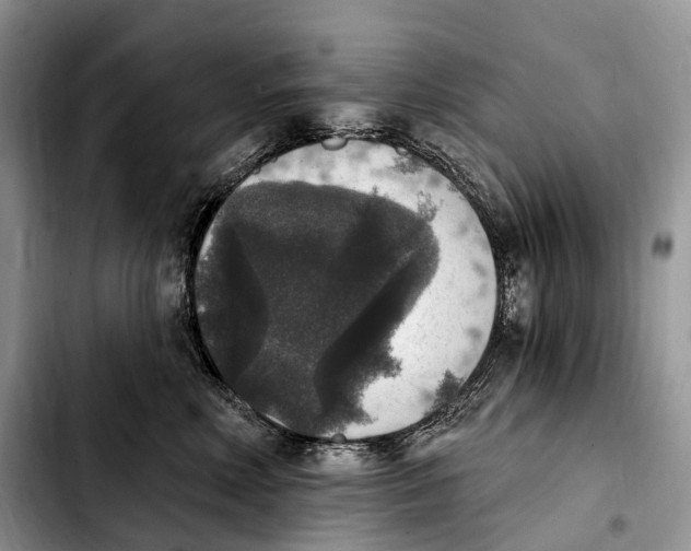 X0000103950618200810101440