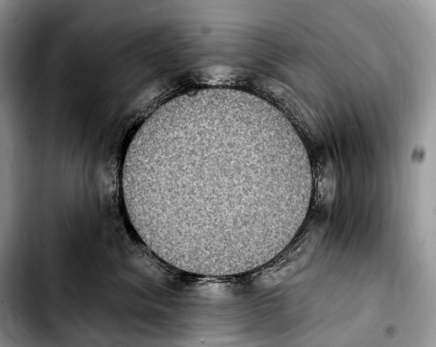 X0000103950620200810101440