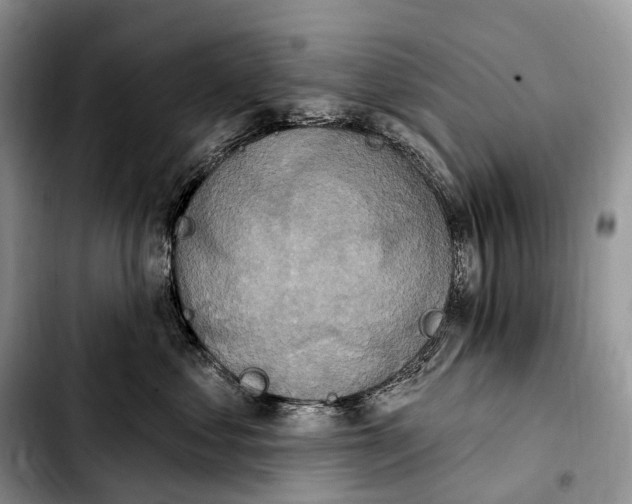 X0000103950621200810101440