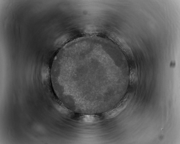 X0000103950623200810101440