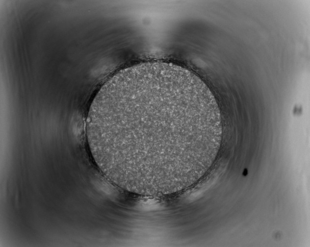 X0000103950624200810101440