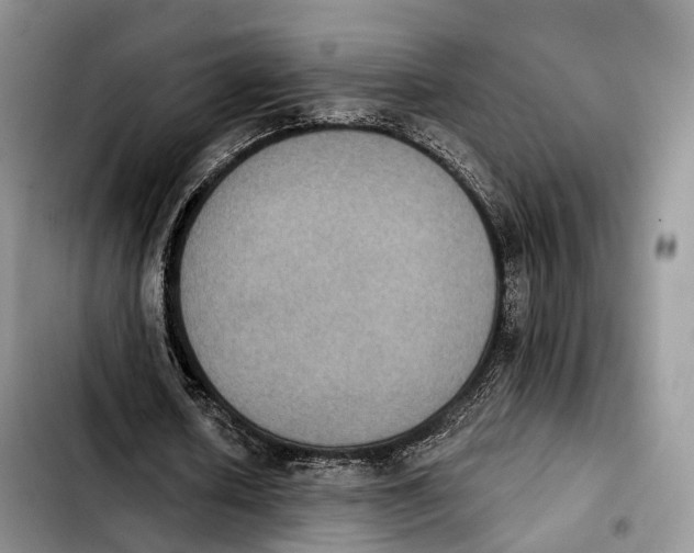 X0000103950626200810101439