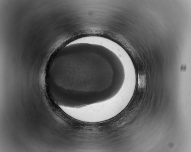 X0000103950627200810101439