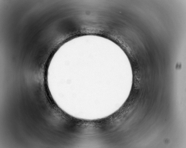 X0000103950631200810101439