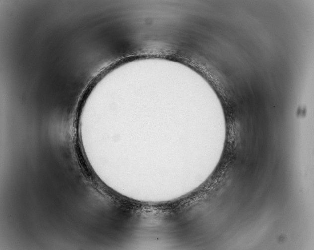 X0000103950632200810101439