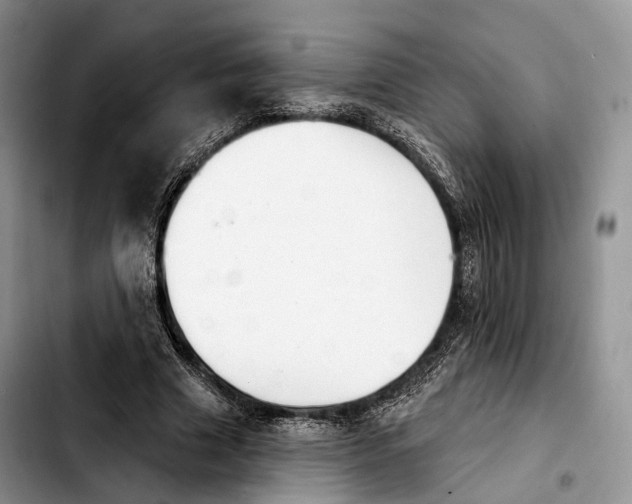 X0000103950633200810101439