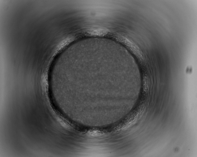 X0000103950634200810101439