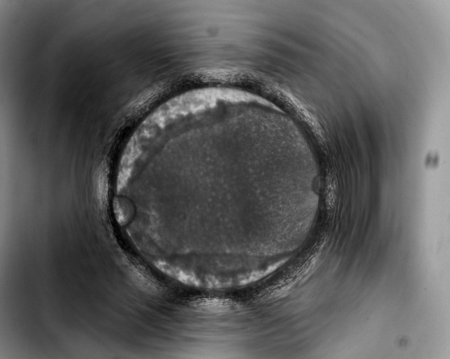 X0000103950637200810101439