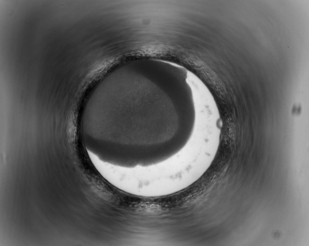 X0000103950640200810101439