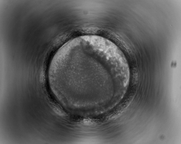 X0000103950641200810101439