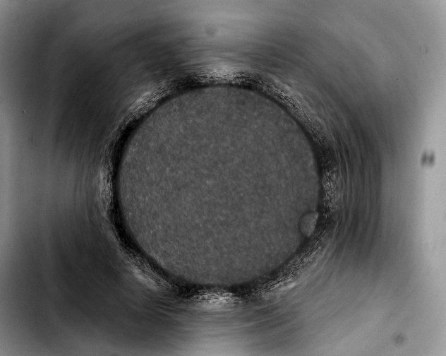 X0000103950642200810101439