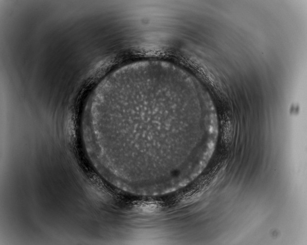 X0000103950643200810101439