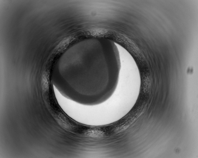 X0000103950644200810101439