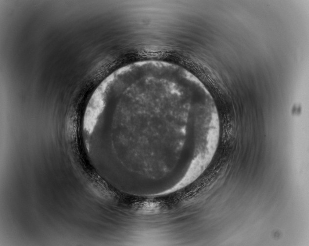 X0000103950647200810101439