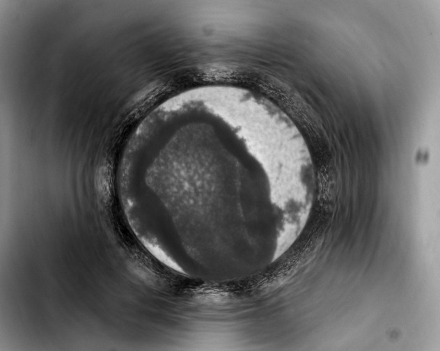 X0000103950648200810101439