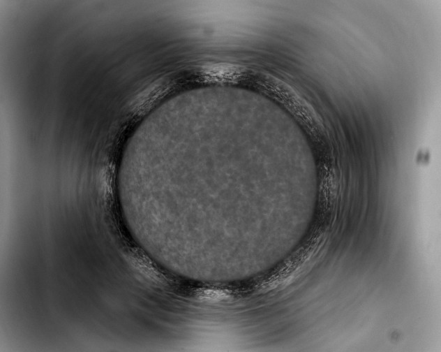 X0000103950649200810101439