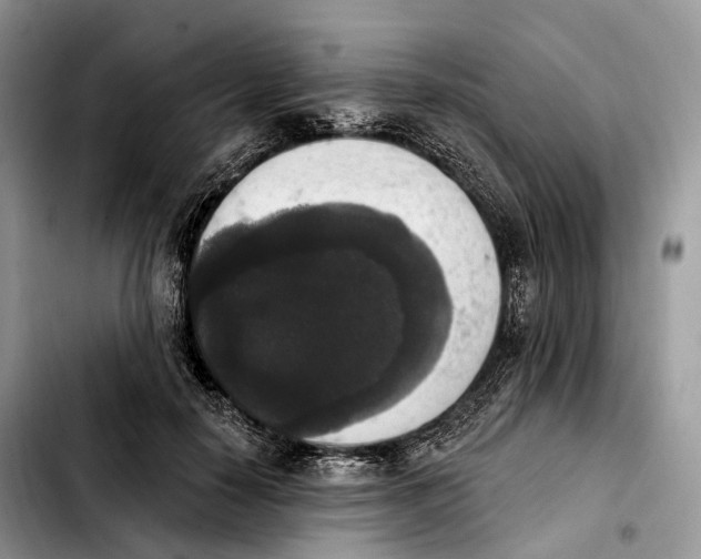 X0000103950650200810101439