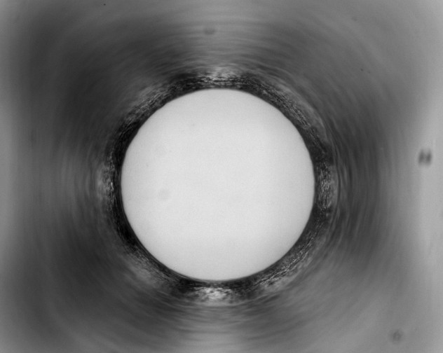 X0000103950654200810101439