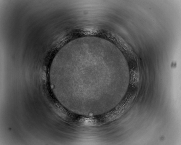 X0000103950655200810101439