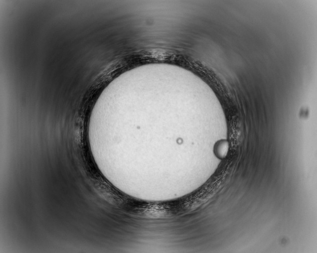 X0000103950656200810101439