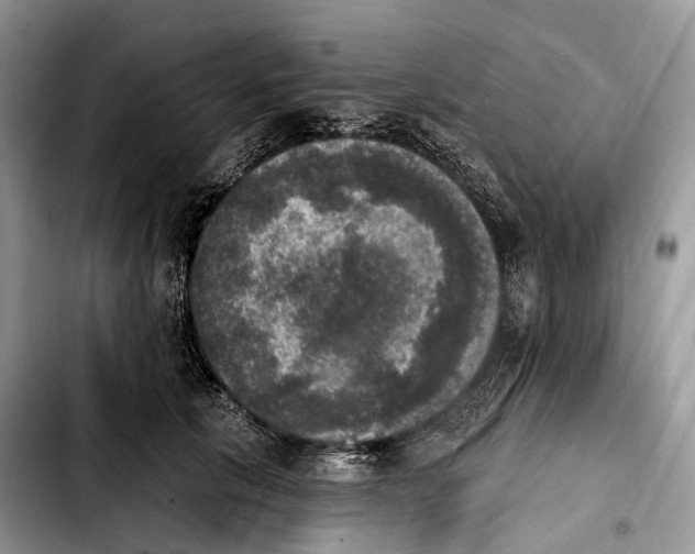 X0000103950657200810101439