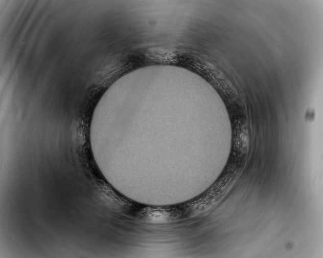 X0000103950658200810101439