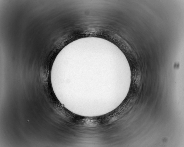 X0000103950660200810101439