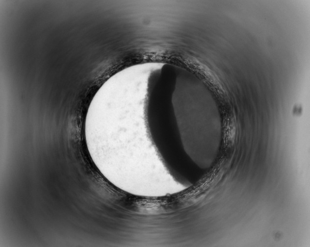 X0000103950661200810101439