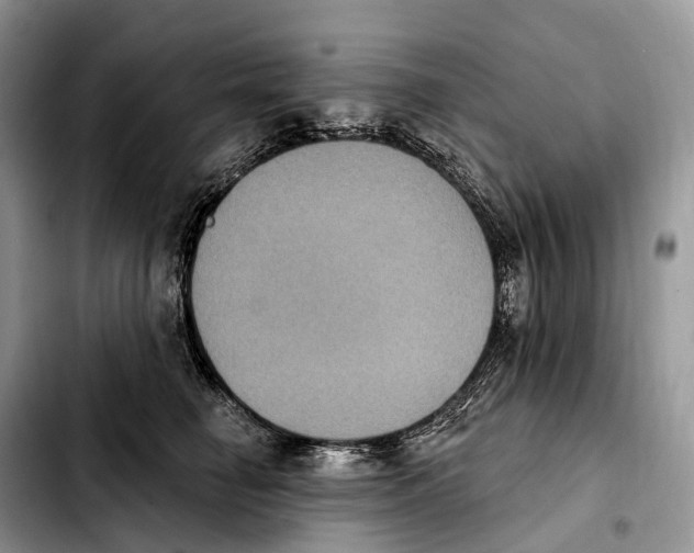 X0000103950662200810101439