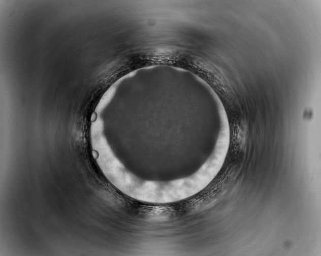 X0000103950663200810101439