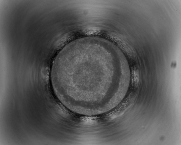 X0000103950664200810101439