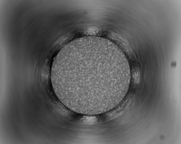 X0000103950665200810101439