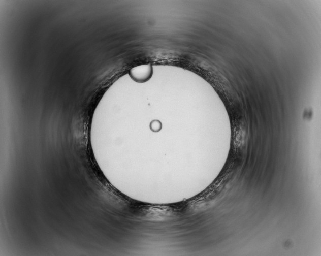 X0000103950666200810101439