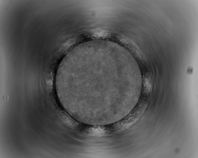 X0000103950668200810101439