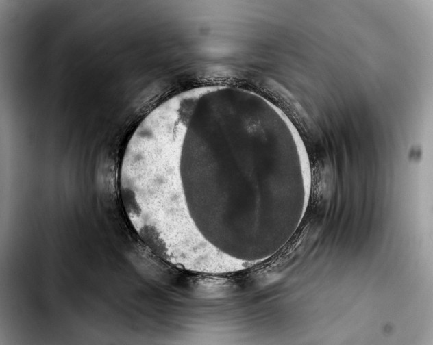 X0000103950669200810101439