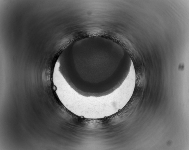 X0000103950670200810101439