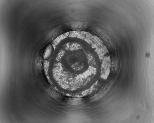 X0000103950671200810101439