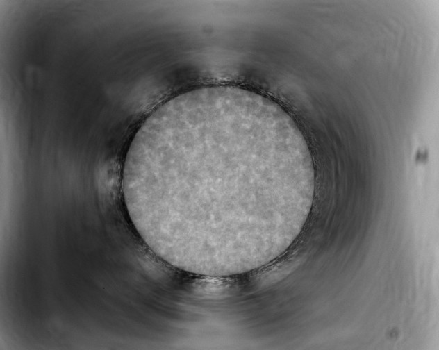 X0000103950672200810101440