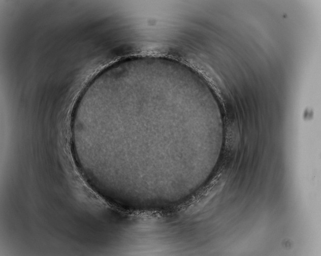 X0000103950673200810101439