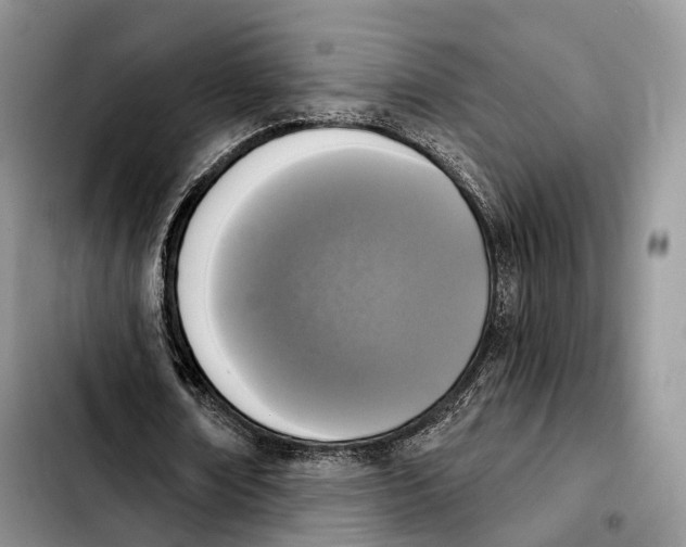 X0000103950674200810101439