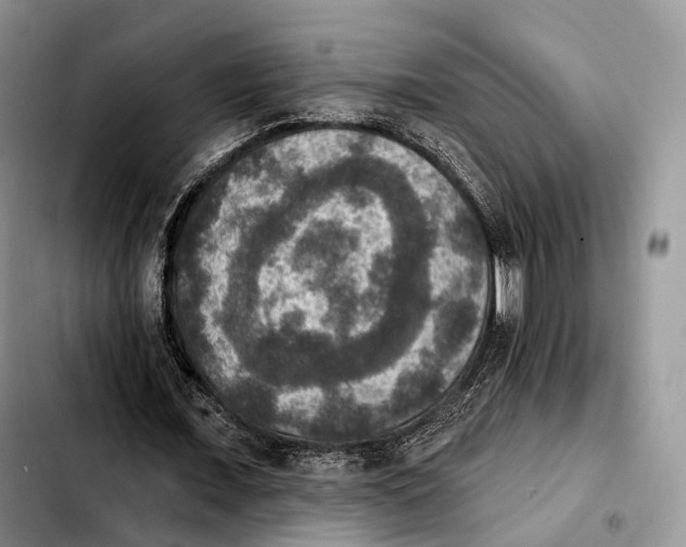 X0000103950675200810101439