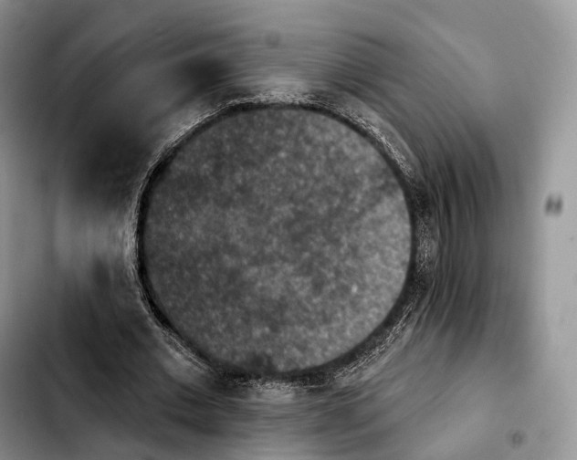 X0000103950677200810101439